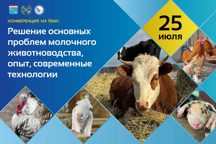 Презентационные материалы по итогам конференции «Решение основных проблем молочного животноводства, опыт, современные технологии»