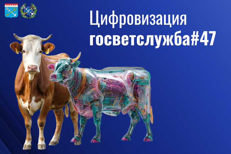 Когда программы «заговорят» друг с другом