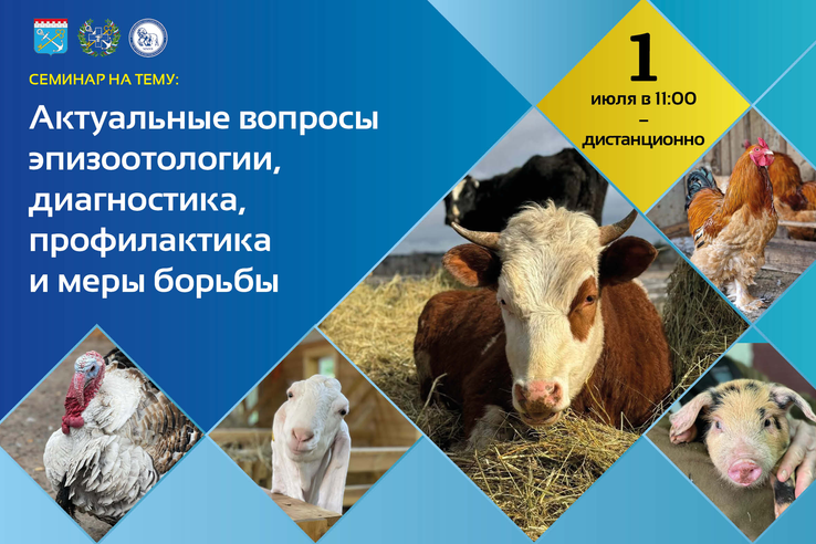 АНОНС: семинар «Актуальные вопросы эпизоотологии, диагностика, профилактика и меры борьбы»