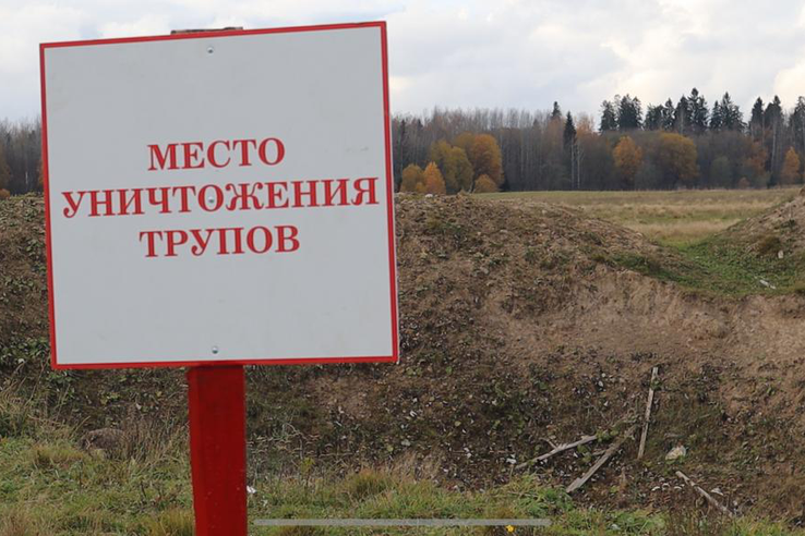 Завершена ликвидация очага по оспе овец и коз в Волосовском районе