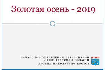 Поездка на "Золотую осень"