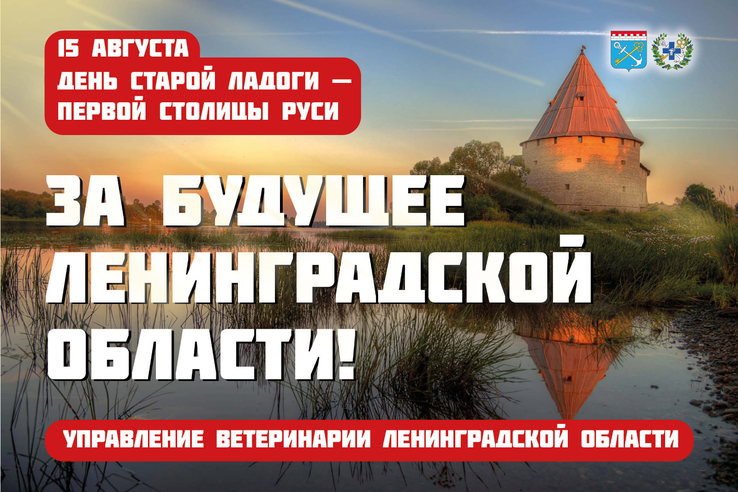 Поздравляем с Днём рождения Старую Ладогу!
