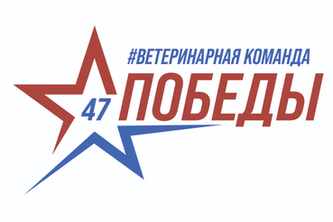 Итоги работы государственной ветеринарной службы в рамках Года Команды Победы