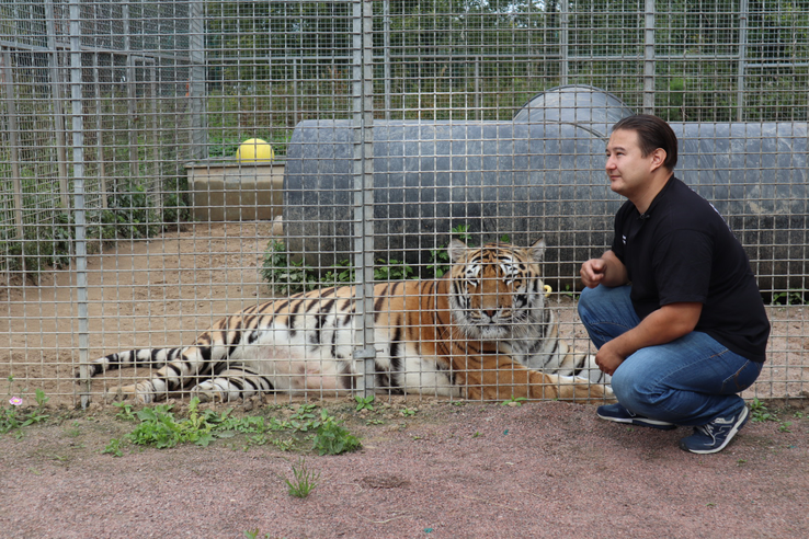 Семинар о работе с крупными дикими животными состоялся на базе АНО «Дом Тигра»