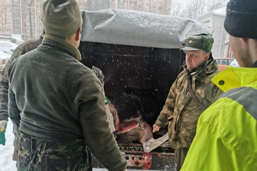 Обнаружены незаконно добытые туши лосей во Всеволожском районе