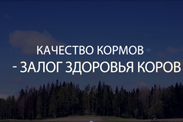 О качестве заготавливаемых кормов. Продолжение.