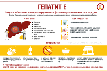 Профилактика вирусного гепатита Е
