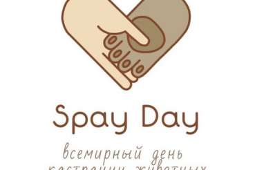 Приняли участие в  «SpayDay»