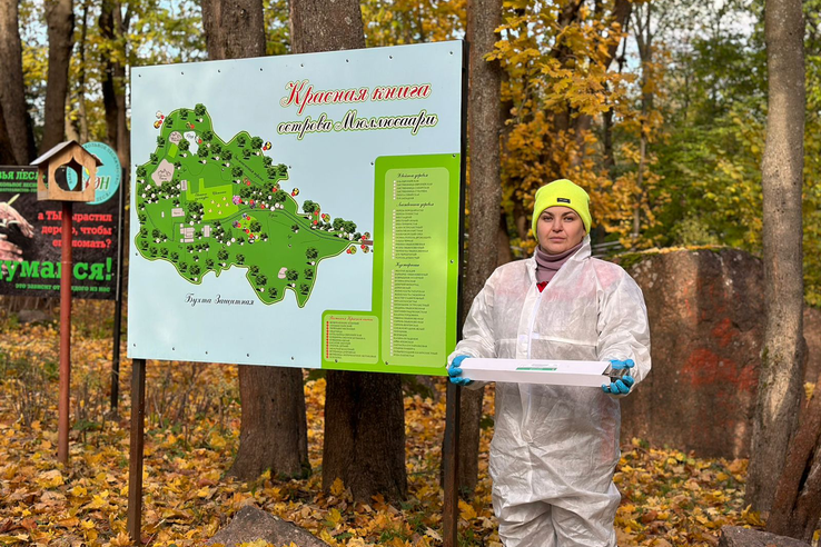 Вакцину от бешенства разложили в парке Монрепо и на острове Мюллисаари Выборгского района