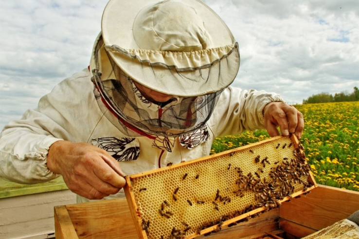 Встреча с пчеловодами