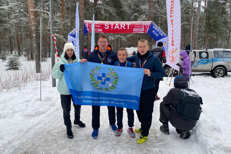 Ветврачи пробежали зимний марафон Sosnovka Tiger