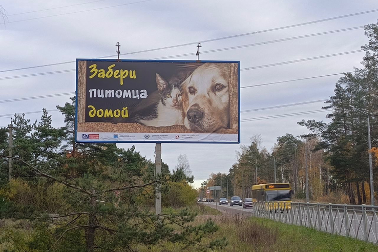 «Забери питомца домой»: соцреклама появилась на региональных трассах