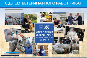 Поздравляем с Днём ветеринарного работника!