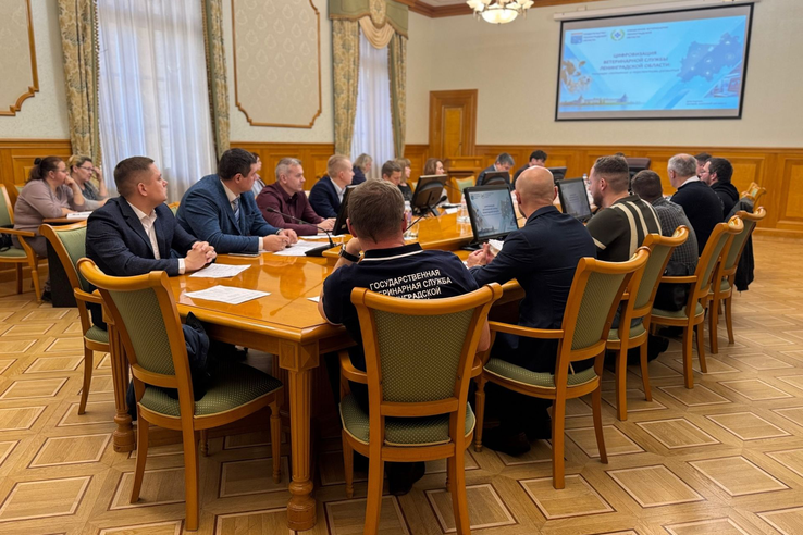 Цифровизация госветслужбы