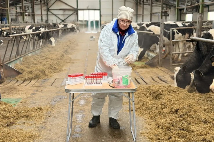Госветслужба - ветеринарный щит Ленинградской области
