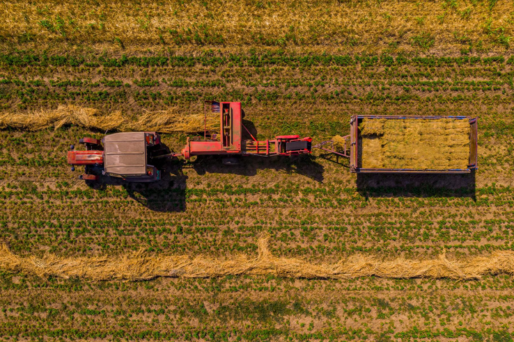 Леонид Кротов рассказал о качестве кормов, заготавливаемых в Ленинградской области