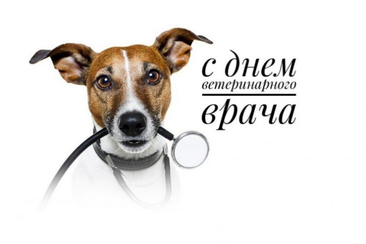 Видео-поздравление с Днём ветеринарного работника