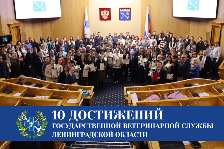 Успехи государственной ветеринарной службы Ленинградской области