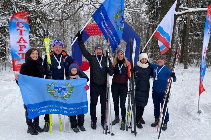 По зову лыжни… ветеринары приняли участие в зимней гонке