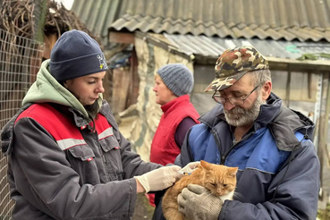 Бесплатные и льготные услуги для владельцев животных в 2026 году