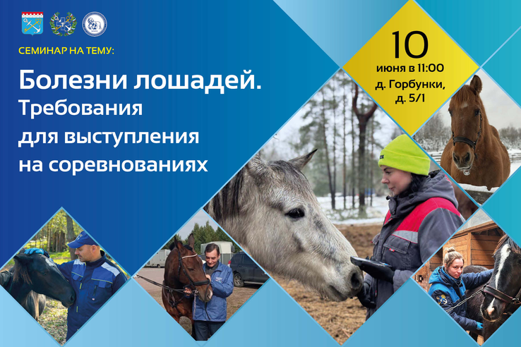 Анонс: семинар «Болезни лошадей. Требования для выступления на соревнованиях»