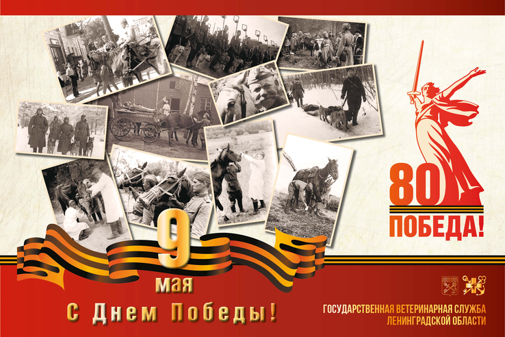 Поздравляем с 80-й годовщиной Победы в Великой Отечественной войне!