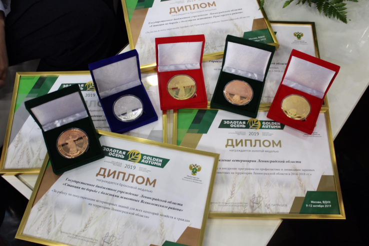 2 золотых, 1 серебряная и 2 бронзовых медали