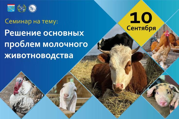 Презентационные материалы семинара «Решение основных проблем молочного животноводства»