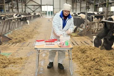 Госветслужба - ветеринарный щит Ленинградской области