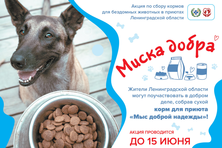 «Миска добра» - новая благотворительная акция по сбору кормов