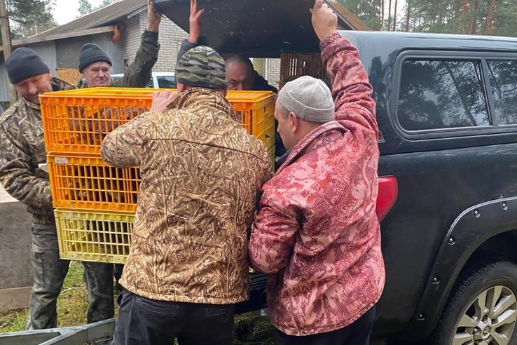 Краснокнижных куропаток под контролем ветврачей завезли в Приозерский район
