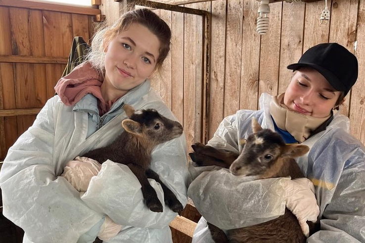 Ленинградская область для работы и жизни! Становись частью госветслужбы.