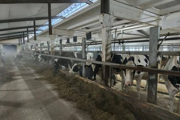 Ветеринарно-санитарные обследования и профилактические мероприятия