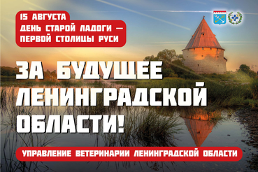 Поздравляем с Днём рождения Старую Ладогу!