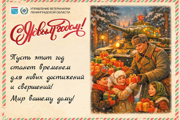 Поздравляем с наступающим 2026 годом!