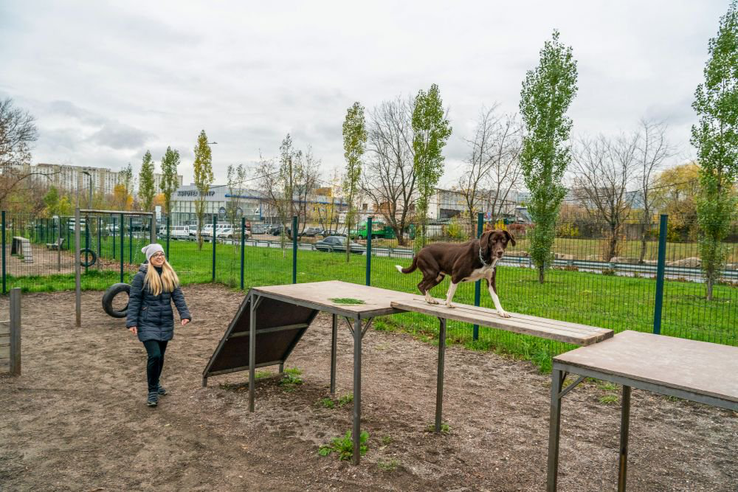 Новый стандарт благоустройства территорий для владельцев собак