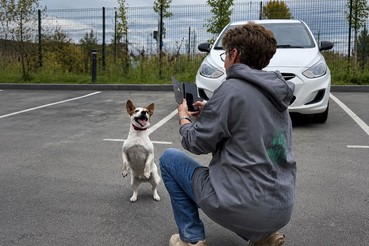 Волонтеры Ленобласти протестировали приложение «Инспектор»