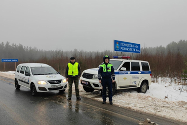 Более 4000 автомобилей досмотрели на ветеринарно-полицейских постах