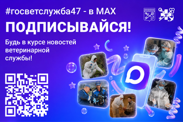 Подписывайся на каналы #госветслужба47 в MAX
