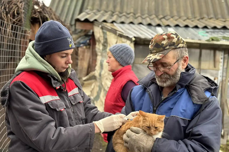 Бесплатные и льготные услуги для владельцев животных в 2026 году