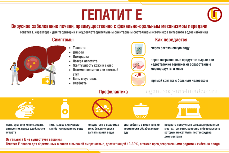 Профилактика вирусного гепатита Е