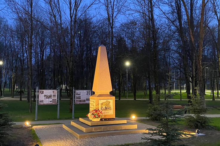 Ночная подсветка вокруг памятника военным ветеринарам