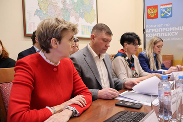 Представители органов власти встретились с волонтерами приюта «Островок Надежды»