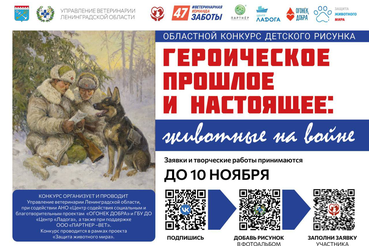 Запускаем конкурс рисунка «Героическое прошлое и настоящее: животные на войне»