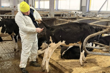 Госветслужба: ежедневное обеспечение эпизоотического благополучия