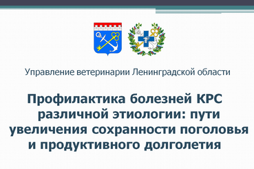 Презентационные материалы семинара по вопросам продуктивного долголетия крупного рогатого скота