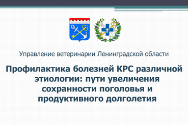 Видео и презентационные материалы семинара по вопросам продуктивного долголетия крупного рогатого скота