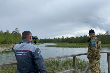 Мониторинговые рейды: грипп птиц под контролем ветеринарной службы