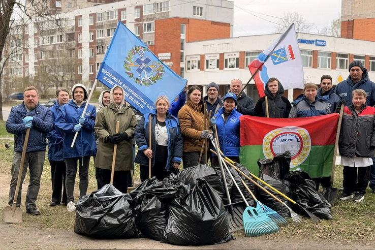 Делаем любимую Ленинградскую область чище!