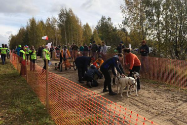 Кубок России «Чемпионата и Первенства по бесснежным дисциплинам». 